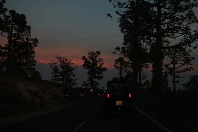 Tenerife: Family 4seats Buggy Tour of Teide - The Sum Up