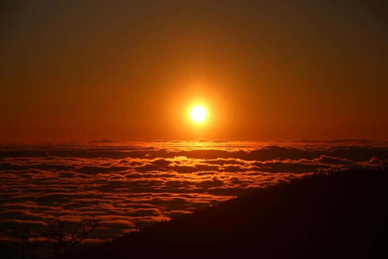 Tenerife: Family 4seats Buggy Tour of Teide - FAQ