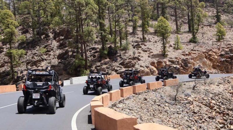 Tenerife: FAMILY 4SEATS- Morning or Sunset Teide Buggy tour - Key Points