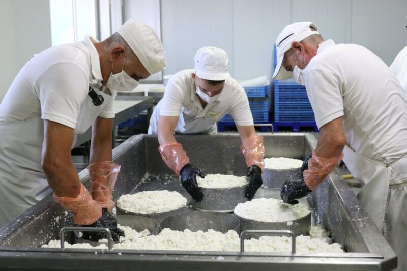 tenerife-farm-tour-with-cheese-tasting