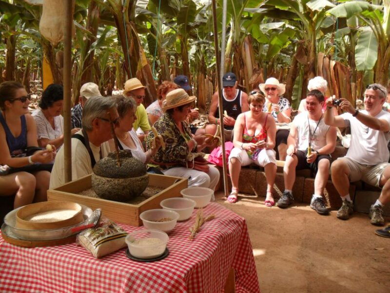 tenerife-finca-las-margaritas-banana-plantation-experience