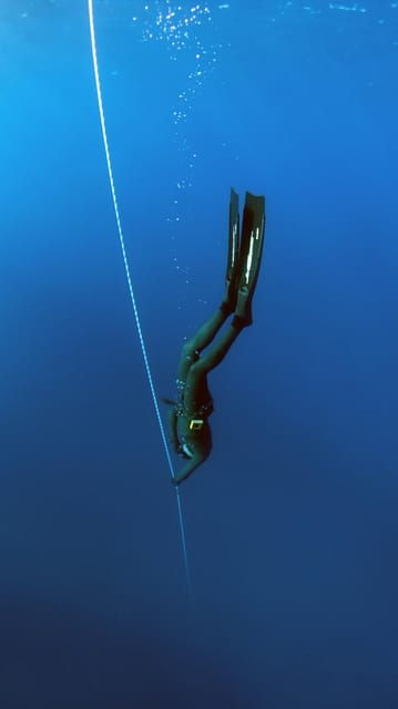 tenerife-freediving-discovery-course