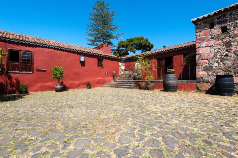 tenerife-full-day-gastronomy-and-wine-tour