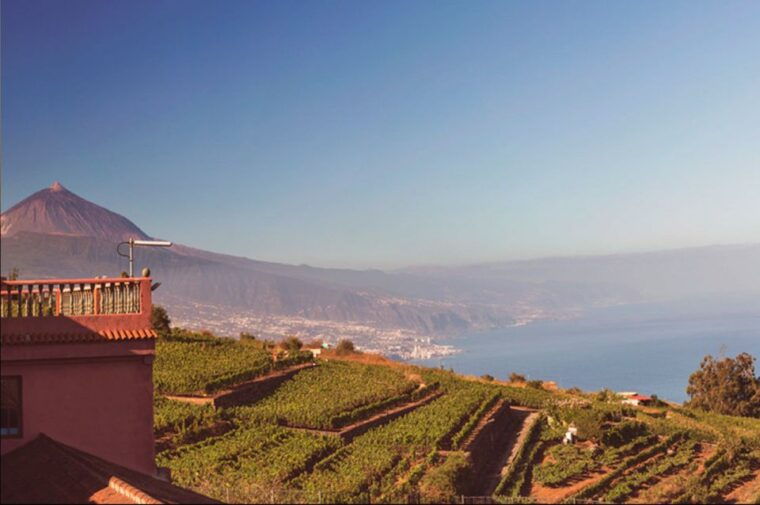 tenerife-full-day-gastronomy-and-wine-tour
