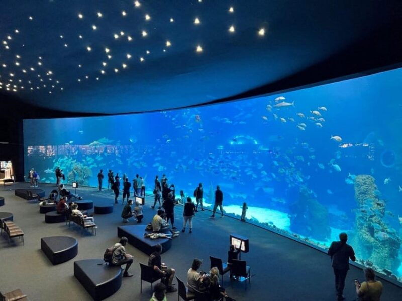 tenerife-full-day-guided-tour-of-gran-canaria-with-aquarium