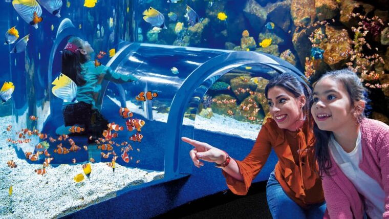 tenerife-full-day-guided-tour-of-gran-canaria-with-aquarium