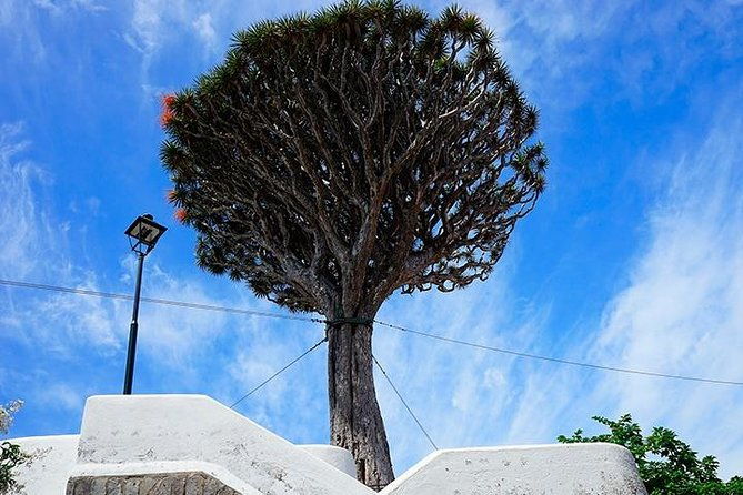 tenerife-full-island-tour