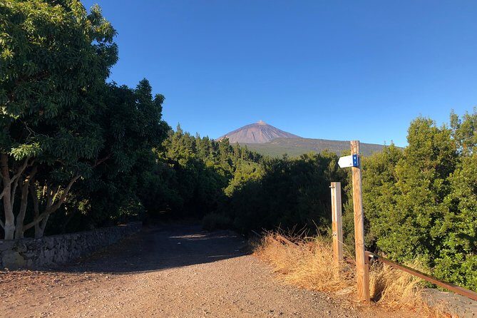Tenerife Grand Tour: including Teide National Park and Masca - FAQs