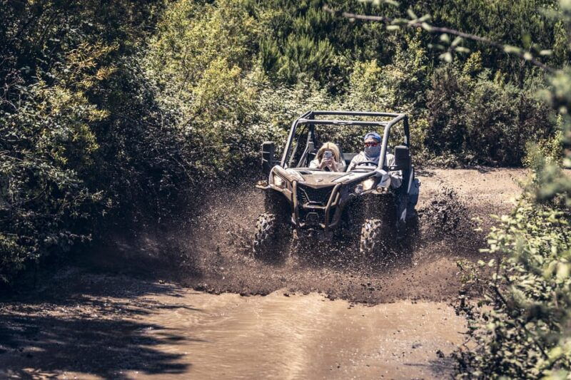 tenerife-guided-buggy-discovery-tour-around-mount-teide-2