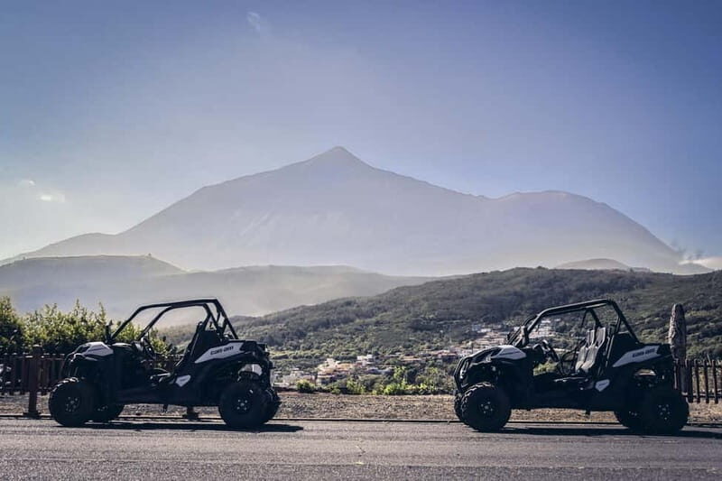 Tenerife: Guided Buggy Discovery Tour around Mount Teide - What’s Included and What’s Not
