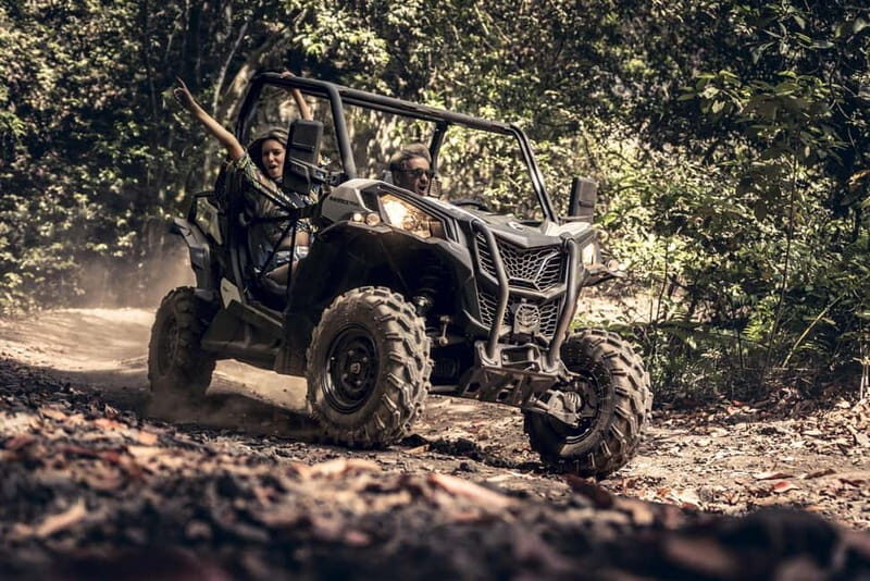 Tenerife: Guided Buggy Discovery Tour around Mount Teide - Authentic Experiences and Insider Insights