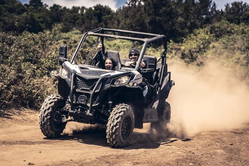 Tenerife: Guided Buggy Discovery Tour around Mount Teide - The Value of the Tour