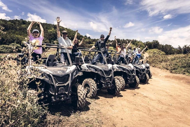 Tenerife: Guided Buggy Discovery Tour around Mount Teide - Who Will Love This Experience?