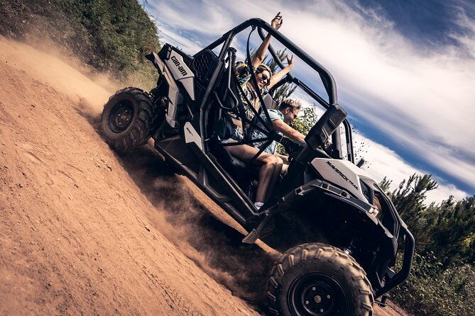 tenerife-guided-buggy-discovery-tour-around-mount-teide