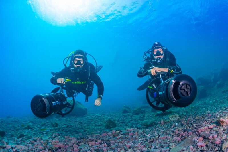 Tenerife: Guided Dive and Scooter Experience - Why Choose the Tenerife Guided Dive and Scooter Experience?