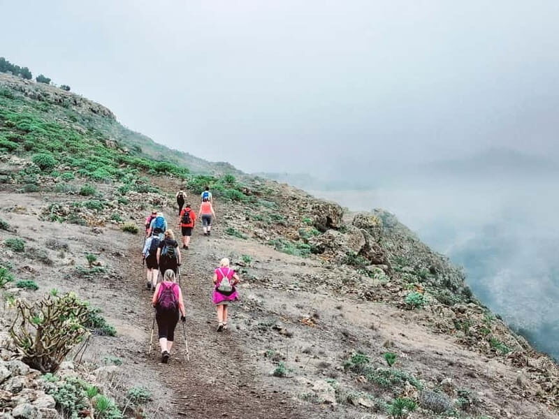 Tenerife Guided Hike: Teno Highlands & Lunar Landscape - An Authentic Journey into Tenerife’s Teno Mountains