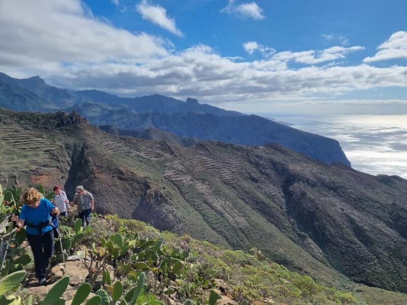 Tenerife Guided Hike: Teno Highlands & Lunar Landscape - Who Would Love This Tour?