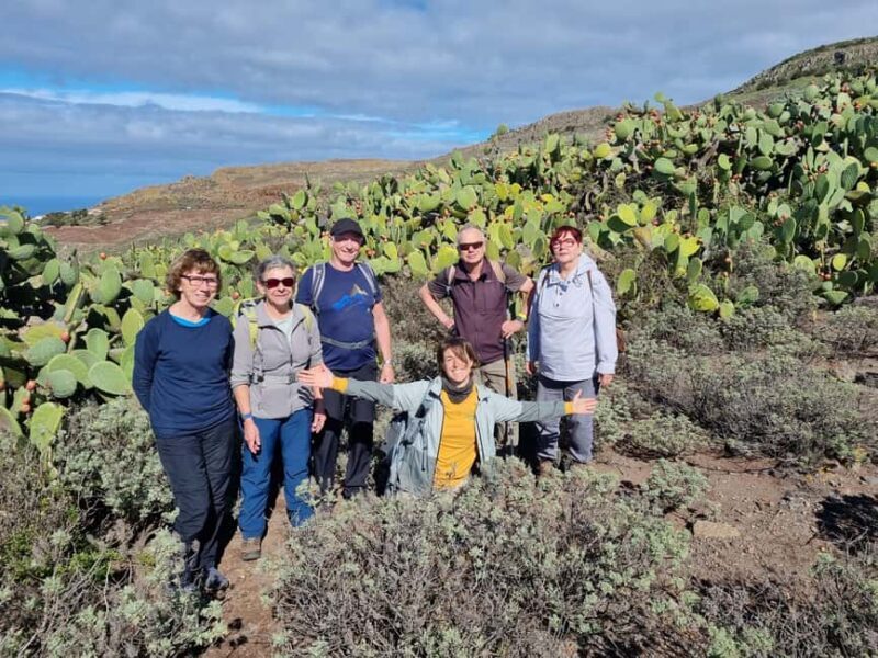 Tenerife Guided Hike: Teno Highlands & Lunar Landscape - Final Thoughts