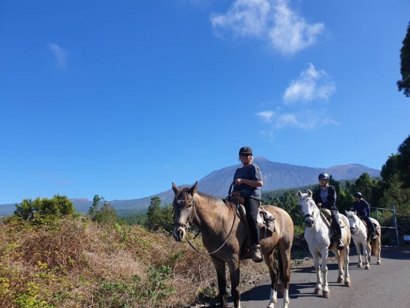 tenerife-guided-horseback-riding-tour-to-the-lomo-forest