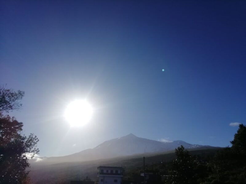 tenerife-guided-horseback-riding-tour-to-the-lomo-forest