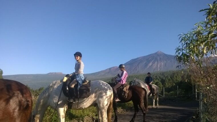 tenerife-guided-horseback-riding-tour-to-the-lomo-forest