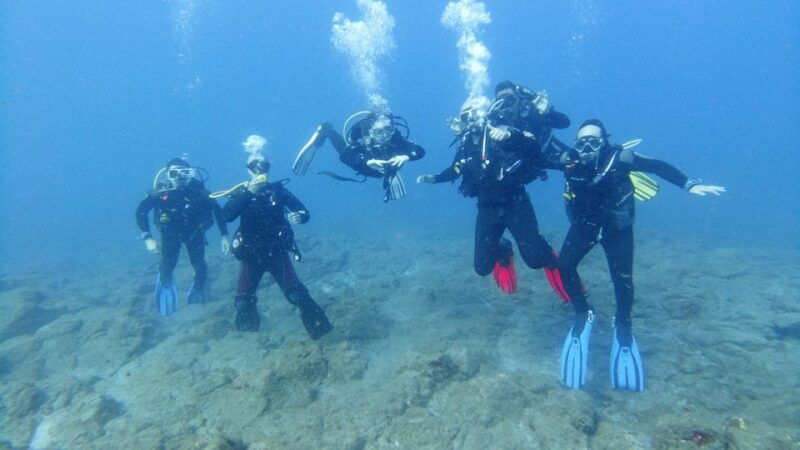 tenerife-guided-scuba-diving-trips-by-boat-in-small-groups