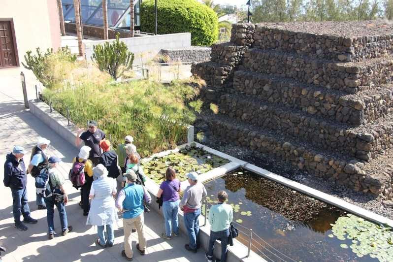 Tenerife: Guided tour at Pirámides de Güímar - Who Will Love This Tour?