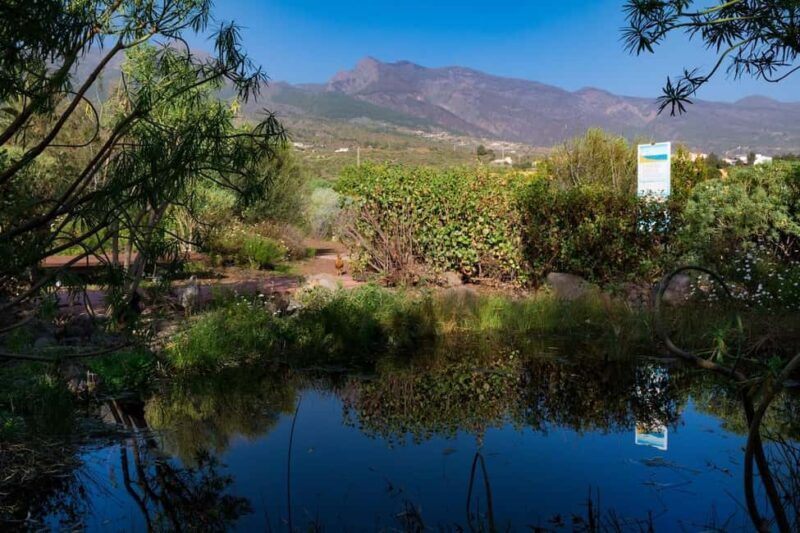 Tenerife: Guided tour at Pirámides de Güímar - Final Thoughts