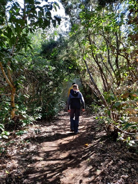 tenerife-guided-tour-guide-in-the-anaga-rural-park