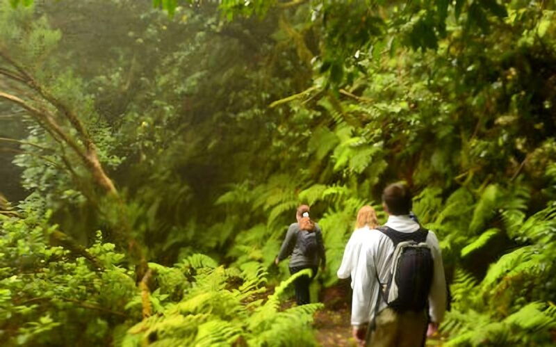 tenerife-guided-tour-guide-in-the-anaga-rural-park