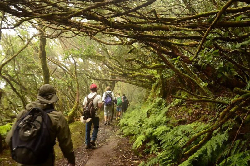 tenerife-guided-tour-guide-in-the-anaga-rural-park