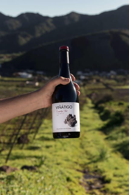 tenerife-guided-tour-with-tasting-of-6-wines