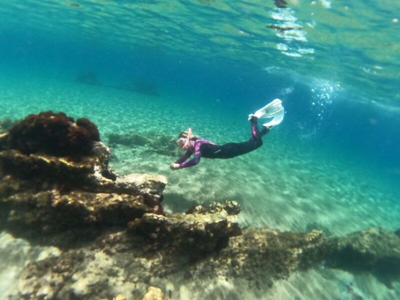 tenerife-half-day-snorkeling-tour