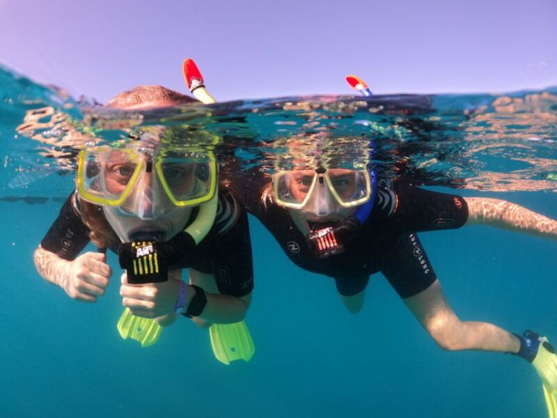 tenerife-half-day-snorkeling-tour