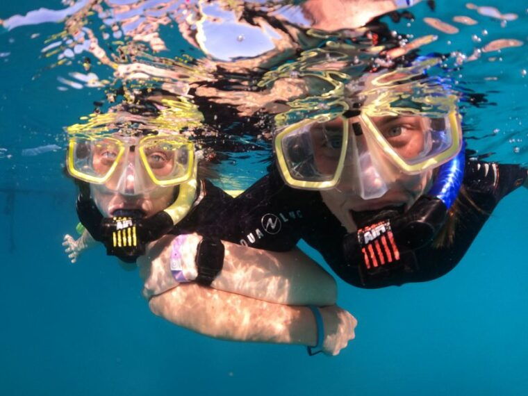 tenerife-half-day-snorkeling-tour
