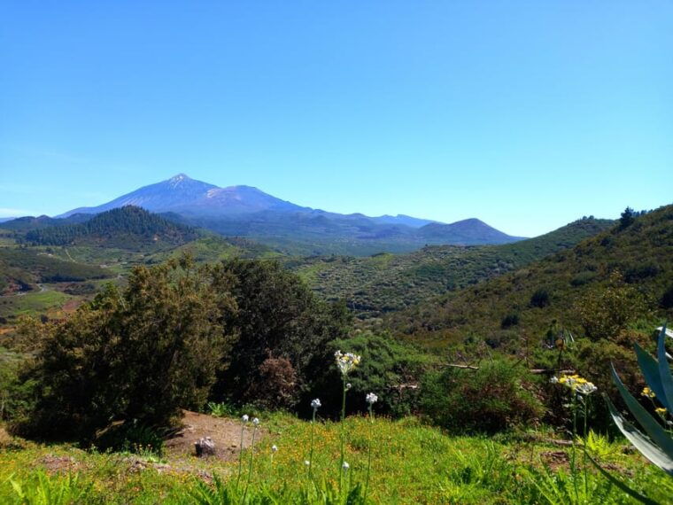 tenerife-hiking-above-the-village-of-masca