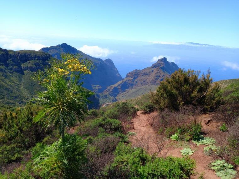 tenerife-hiking-above-the-village-of-masca
