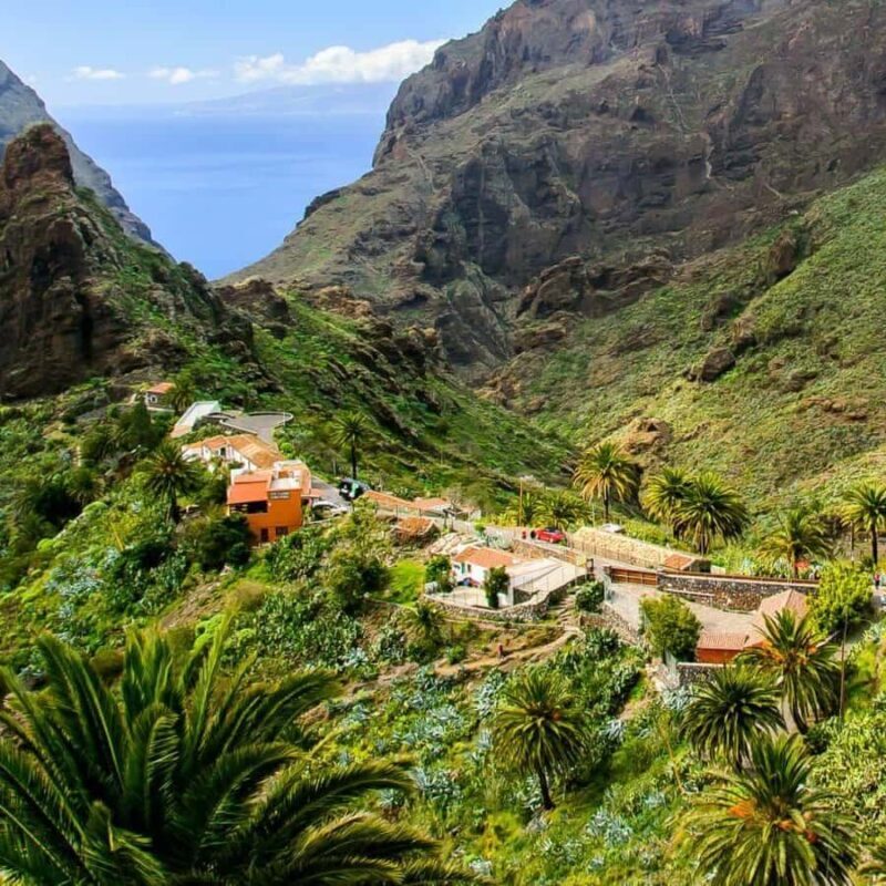 Tenerife: Hiking through Teno and the hamlet of Masca - Detailed Breakdown of the Experience