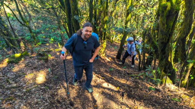 tenerife-hiking-tour-above-masca-enchanted-forest