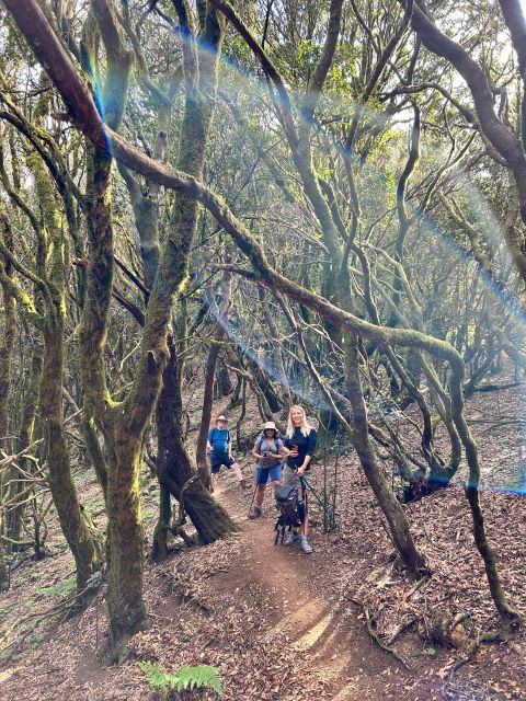 tenerife-hiking-tour-above-masca-enchanted-forest