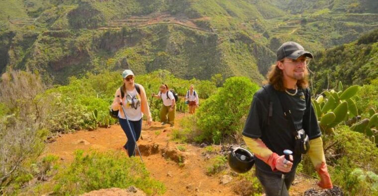 tenerife-hiking-tour-in-anaga-mountains-enchanted-forest