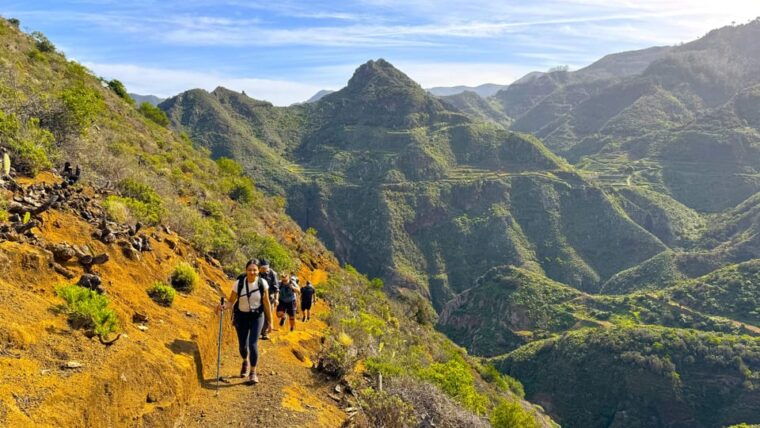 tenerife-hiking-tour-in-anaga-mountains-enchanted-forest