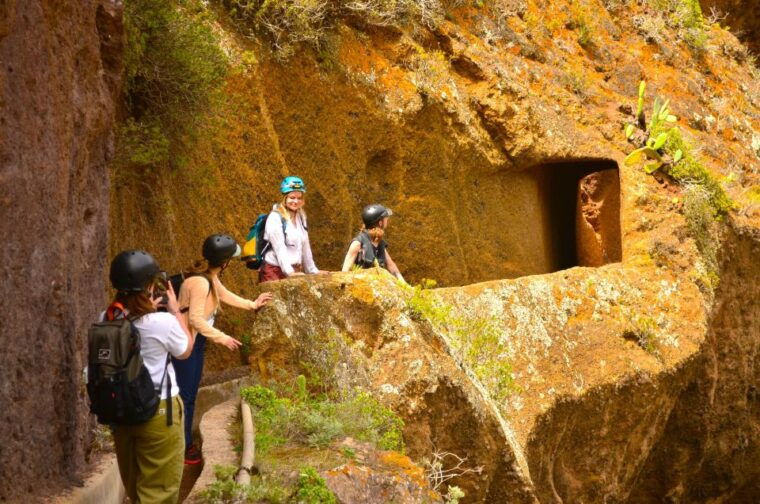tenerife-hiking-tour-in-anaga-mountains-enchanted-forest