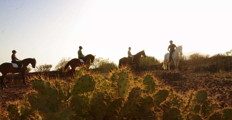 tenerife-horseback-ride-with-instructor