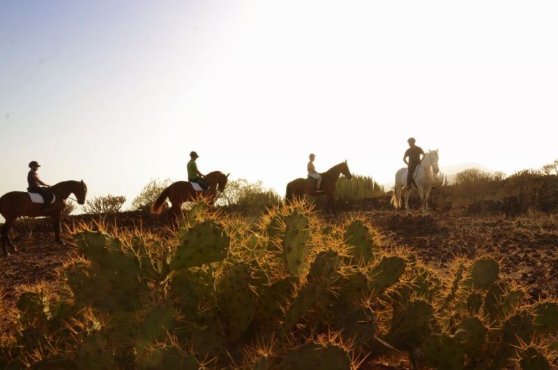 tenerife-horseback-ride-with-instructor