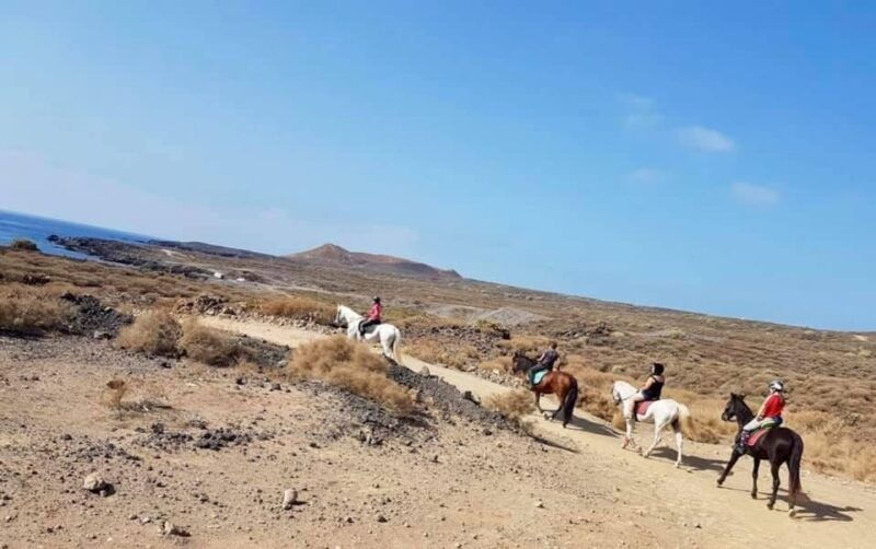 tenerife-horseback-ride-with-instructor