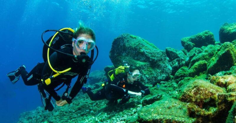 tenerife-introductory-dive-for-cruise-ship-passengers