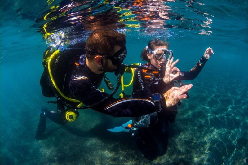 tenerife-introductory-dive-for-cruise-ship-passengers