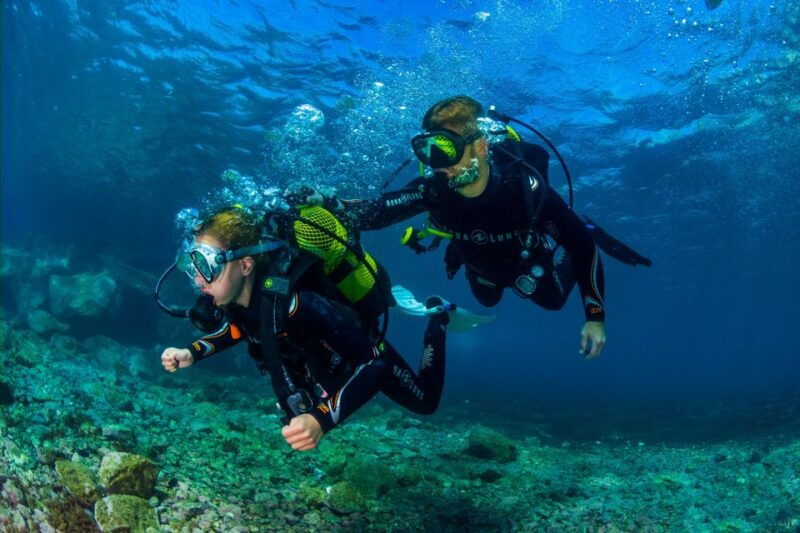 tenerife-introductory-dive-for-cruise-ship-passengers