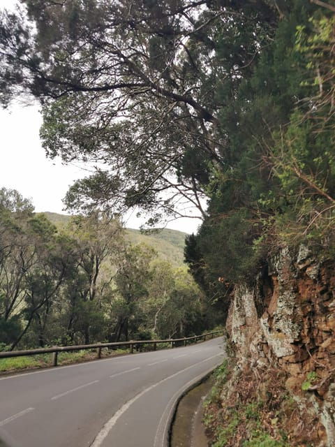 tenerife-island-the-best-day-tour-for-cruise-passengers